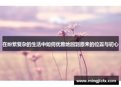 在纷繁复杂的生活中如何优雅地回到原来的位置与初心